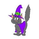 cat5