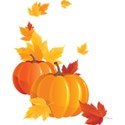 fall