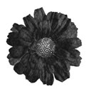 almastba.com_1388184414_439