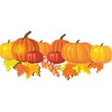 pumpkins