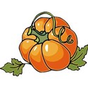 pumpkin