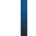 b (5)