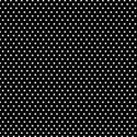 pp21
