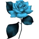 bluerose