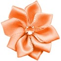 chey0kota_JJ_element (39)