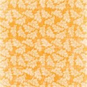 chey0kota_Jennifer_Papers (2)