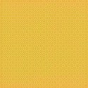 DD_Shine_paper01