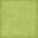 stierney_preppyboy_paper (20)