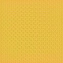 DD_Shine_paper01