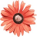 cwJOY-ILoveUMore-flower1