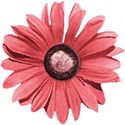 cwJOY-ILoveUMore-flower2