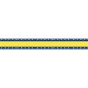 lisaminor_tbcII_ribbon_c