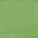 cwJOY-BasicsGreen-PP4