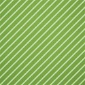 cwJOY-BasicsGreen-PP7