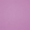 cwJOY-BasicsPurple-PP2