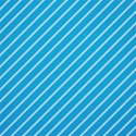 cwJOY-BasicsBlue-PP12