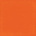 cwJOY-BasicsOrange-PP4