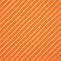 cwJOY-BasicsOrange-PP8