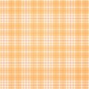 cwJOY-BasicsOrange-PP14
