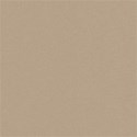 cwJOY-BasicsBrown-PP2