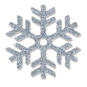 jennyL_glitterybday_snowflake2