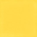 cwJOY-BasicsYellow-PP4