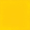 cwJOY-BasicsYellow-PP5