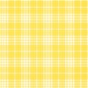 cwJOY-BasicsYellow-PP14