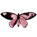cwJOY-AYearInReview-Colorful-butterfly4