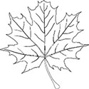 chey0kota_Autumn_ele (30)