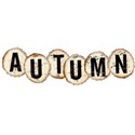 chey0kota_Autumn_ele (47)