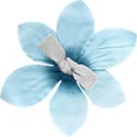 flowerblue