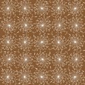 Dandelion Papers21