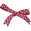 pamperedprincess_spooktacular_bow copy