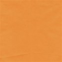 ddandy_cirkuswirkus_Paper_8