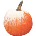 chey0kota_Frost Pumpkin Mini_Ele (1)