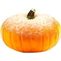 chey0kota_Frost Pumpkin Mini_Ele (10)