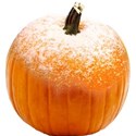 chey0kota_Frost Pumpkin Mini_Ele (9)