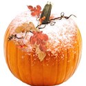 chey0kota_Frost Pumpkin Mini_Ele (8)