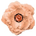 cwJOY-Thankful-flower2