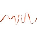 cwJOY-Thankful-ribbon1