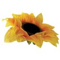 cwJOY-Thankful-flower5