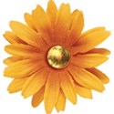 cwJOY-Thankful-flower7