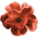 cwJOY-Thankful-flower10