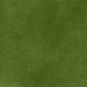 SCD_GoingHiking_element13
