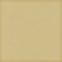 cwJOY-Thankful-PP6