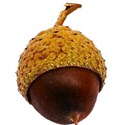 cwJOY-AutumnLove-acorn1