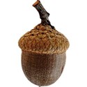 cwJOY-AutumnLove-acorn3