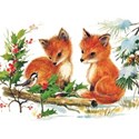 Foxes Card