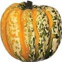 cwJOY-AutumnLove-pumpkin5